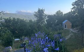 Monkey Tiny Barnhouse With Amazing Views At Zevariclub!